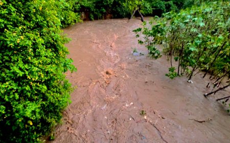 Monsoon Kills 182, Leaves 323 Injured in Pakistan