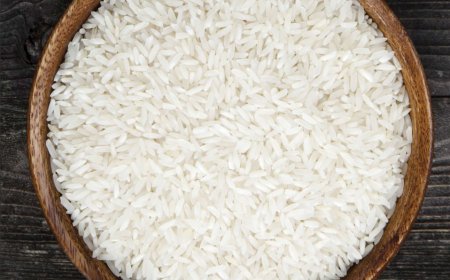 Pakistan Secures $4.3 Million Rice Export Deal with Kenya at FoodAg 2024 in Karachi