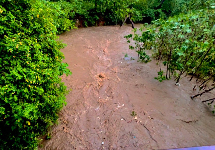 Monsoon Kills 182, Leaves 323 Injured in Pakistan