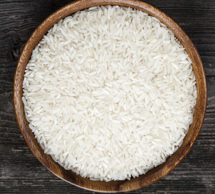 Pakistan Secures $4.3 Million Rice Export Deal with Kenya at FoodAg 2024 in Karachi
