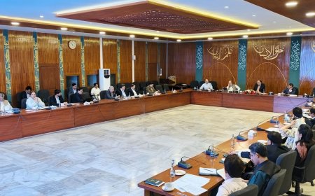 Govt Urges Swift Action to Expedite Chinese Investment Projects Under CPEC Framework