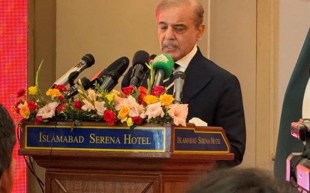 Shehbaz Sharif Thanks President Xi for Birthday Wishes, Celebrates 'Iron Brotherhood'