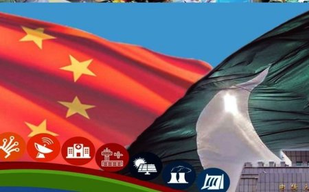 Sino-Pak Bilateral Consultations on Arms Control and Nonproliferation held