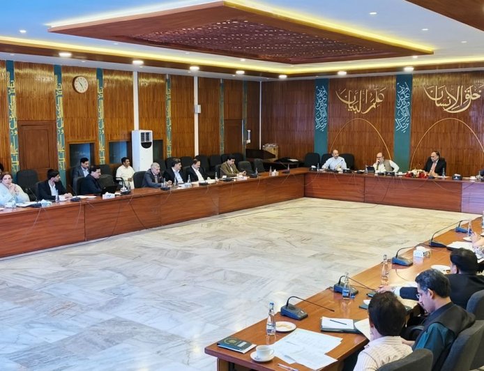 Govt Urges Swift Action to Expedite Chinese Investment Projects Under CPEC Framework