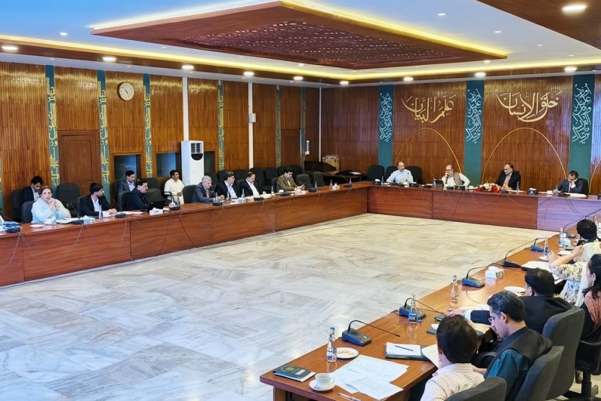 Govt Urges Swift Action to Expedite Chinese Investment Projects Under CPEC Framework