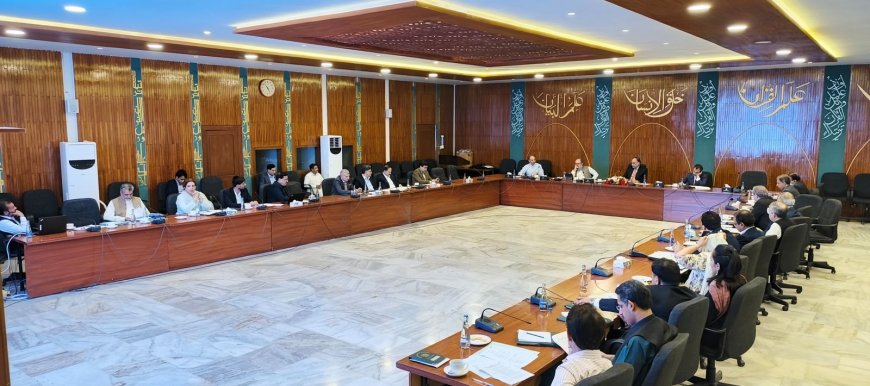 Govt Urges Swift Action to Expedite Chinese Investment Projects Under CPEC Framework