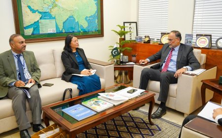 ADB'S COUNTRY DIRECTOR CALLS ON AHSAN IQBAL