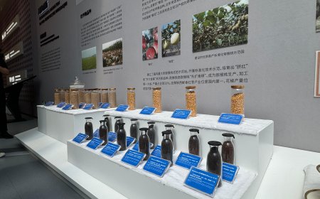 Pakistan to Train 1,000 Agriculture Professionals in China Under New Initiative