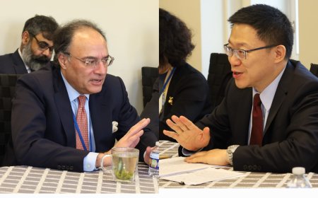 Muhammad Aurangzeb Meets Chinese Vice Minister of Finance