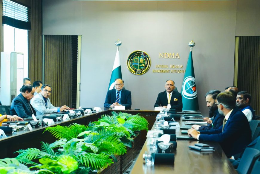 Iqbal Chairs Meeting to Coordinate Relief Efforts for Gaza, Lebanon