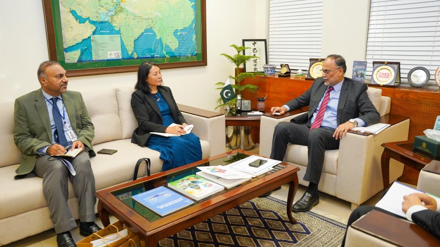 ADB'S COUNTRY DIRECTOR CALLS ON AHSAN IQBAL
