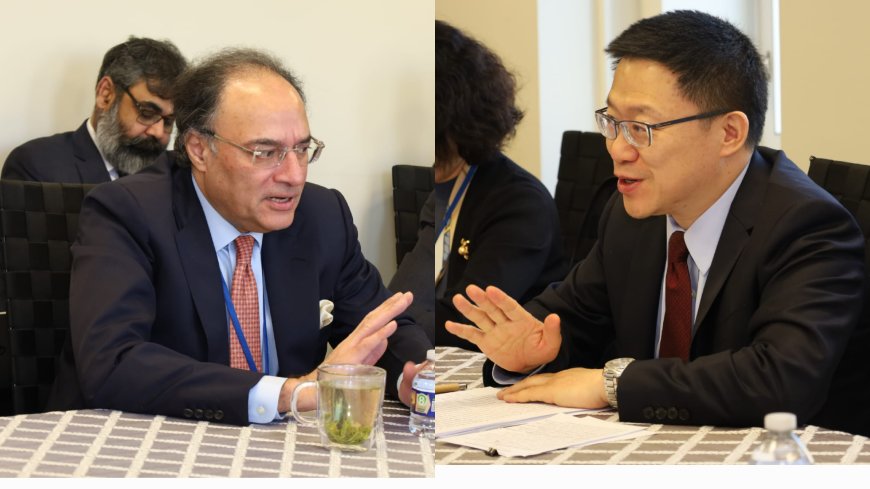 Muhammad Aurangzeb Meets Chinese Vice Minister of Finance