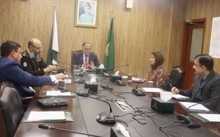 Ahsan Iqbal Stresses Investor-Friendly Policies, Urges SEZ Reforms Under CPEC