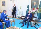 IAEA Director General Meets Prime Minister Sharif