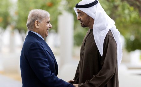 Pakistani Prime Minister, UAE President Discuss Strengthening Bilateral Ties