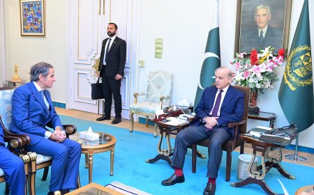 IAEA Director General Meets Prime Minister Sharif