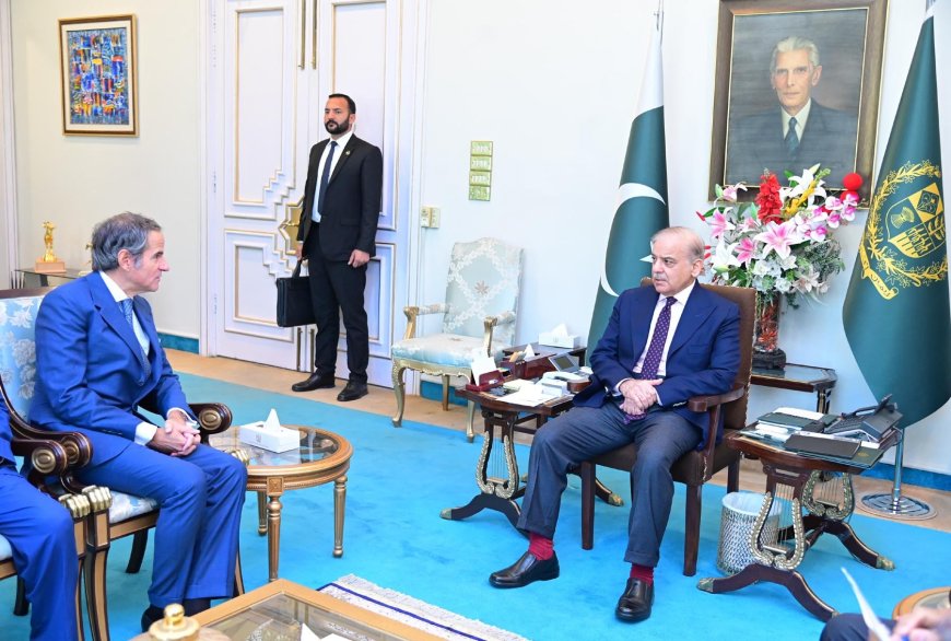 IAEA Director General Meets Prime Minister Sharif